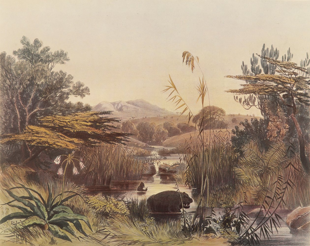 Il fiume Umnonoti al tramonto da George French Angas