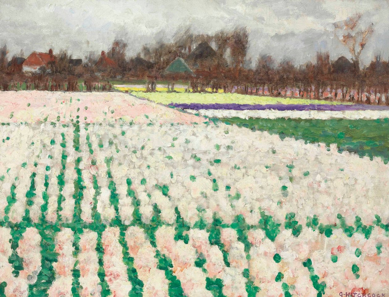 Campi di giacinti da George Hitchcock