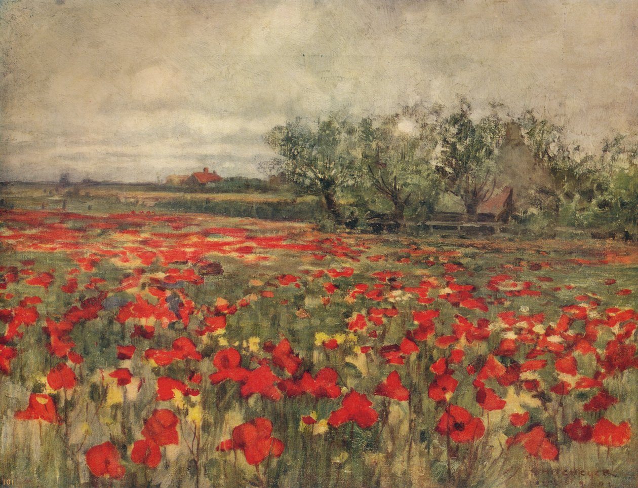 Il campo di papaveri, c1900, c1915 da George Hitchcock