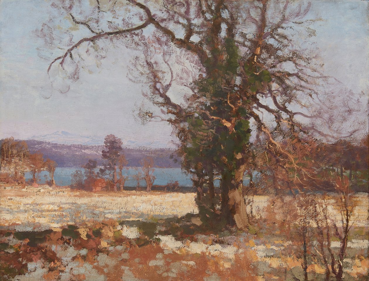 Sole Invernale da George Houston