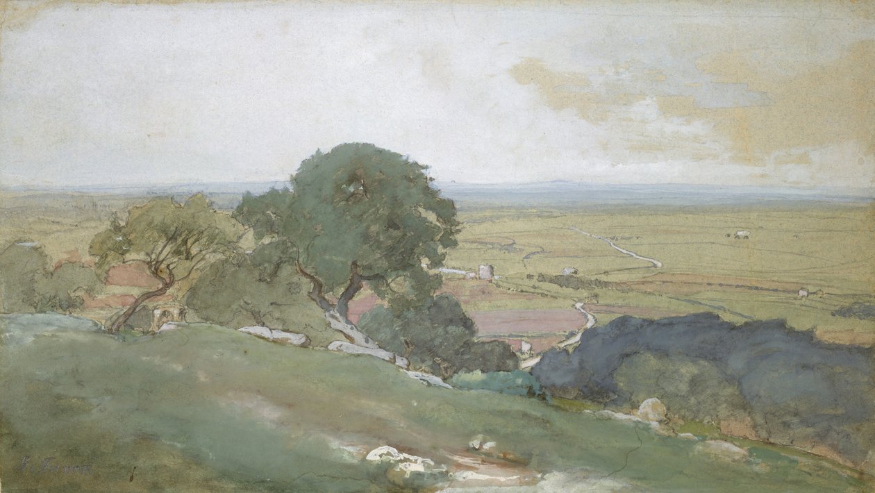 Ulivi a Tivoli, 1873 da George Inness