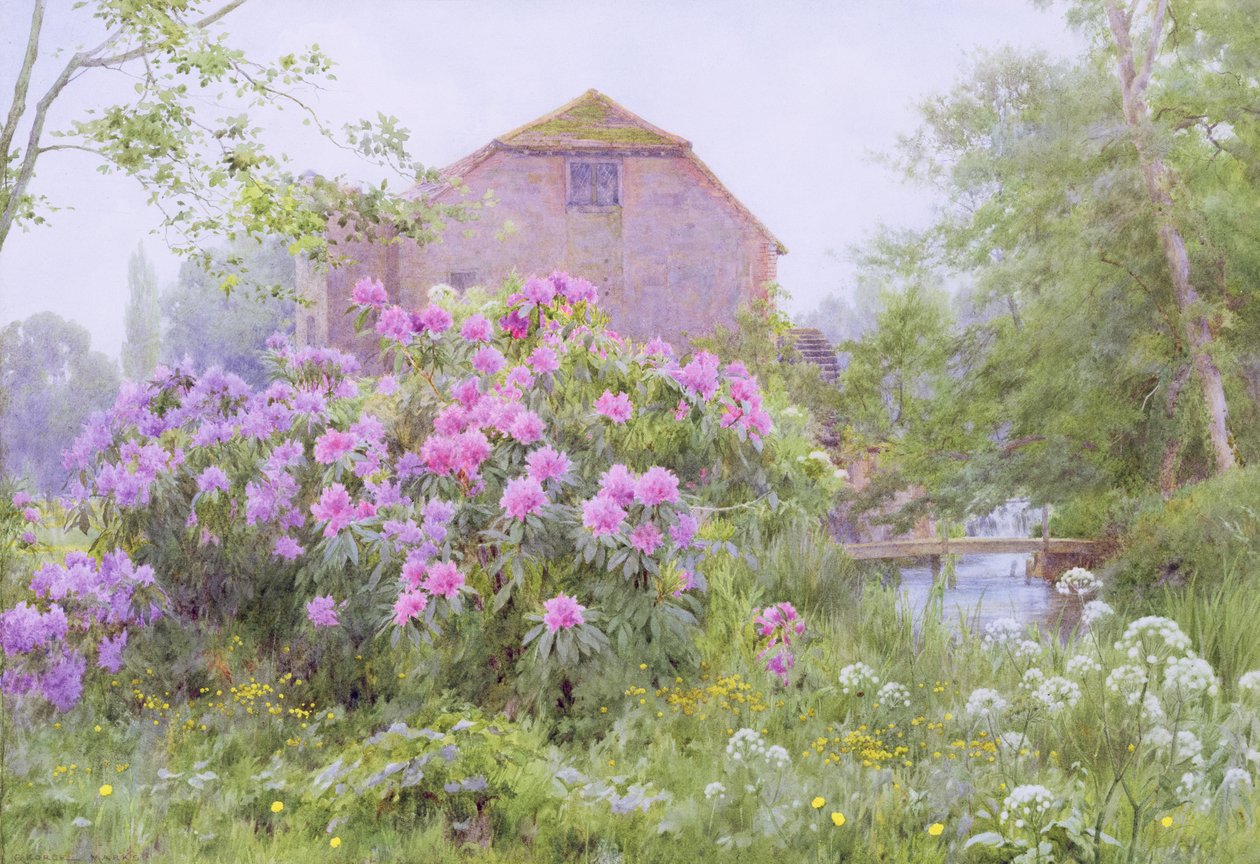 Rododendri presso un mulino ad acqua da George Marks