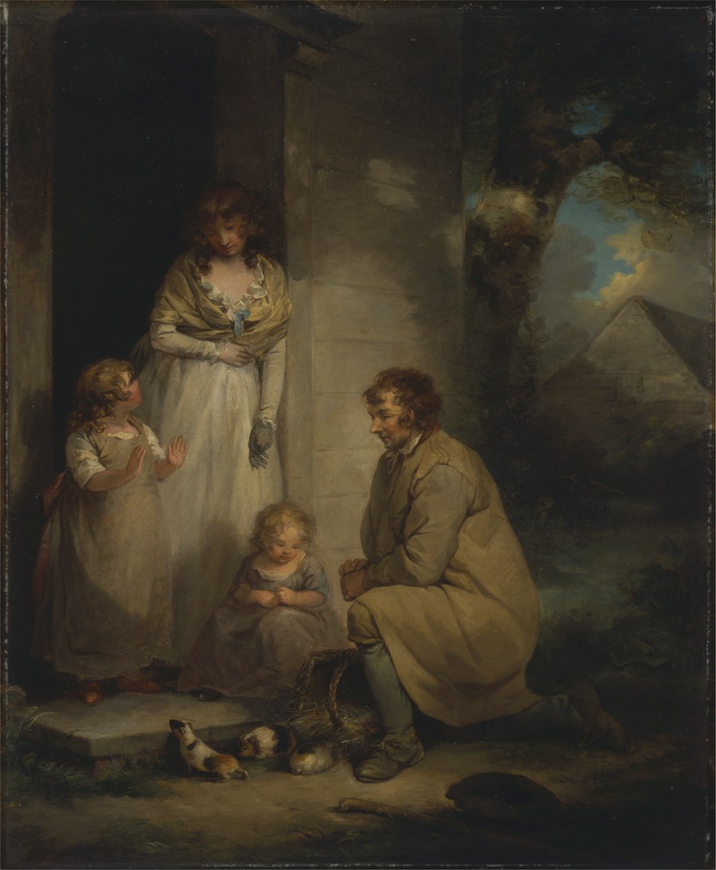 Vendita di Porcellini d