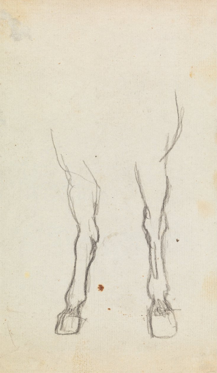 Studio degli zoccoli di un cavallo da George Romney