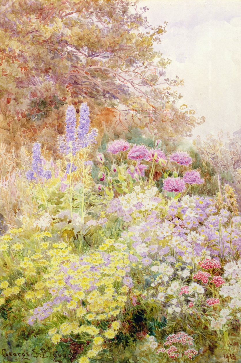 Anthemis, Papaveri e Speronella da George Samuel Elgood