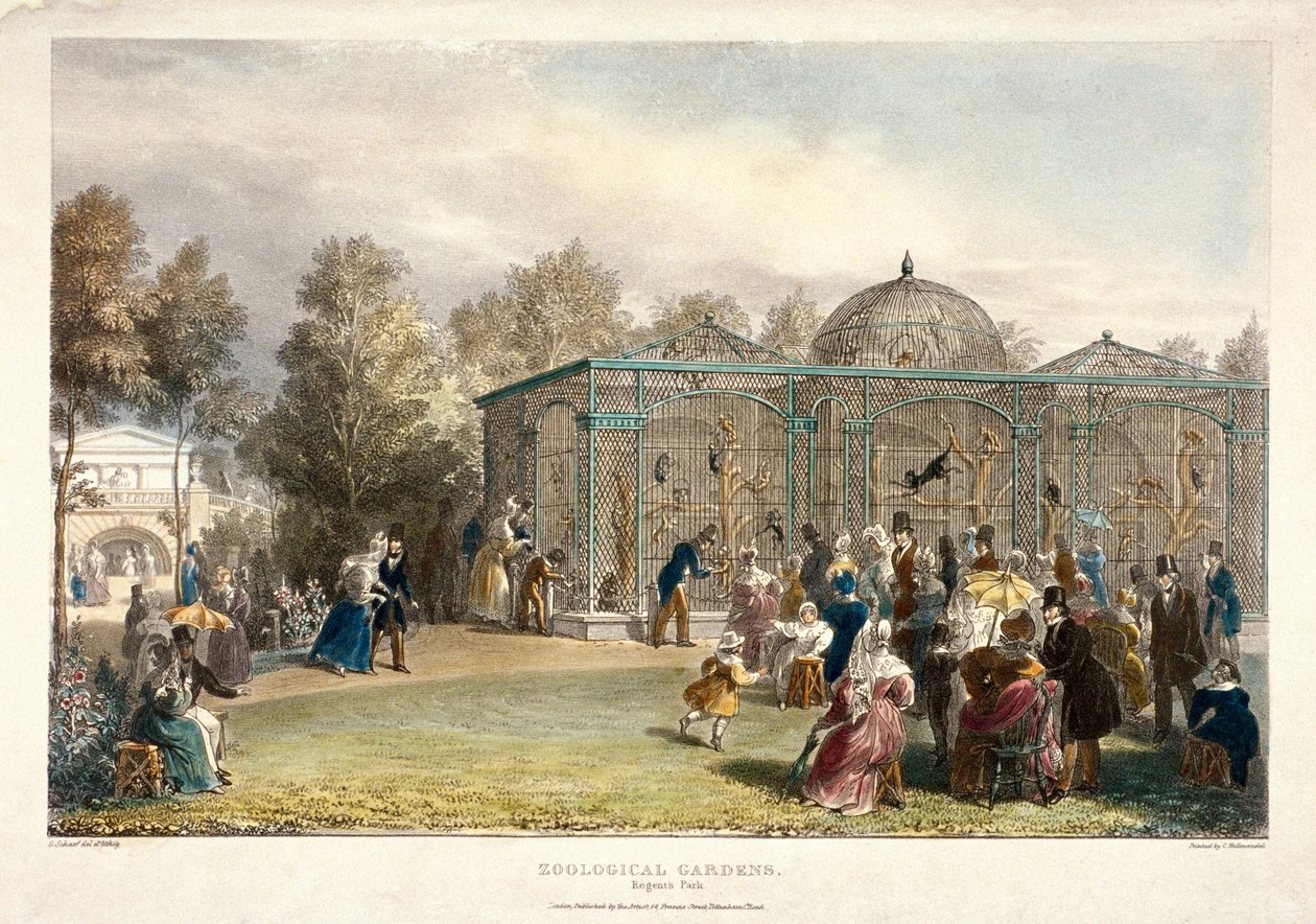 Giardini zoologici, Regent