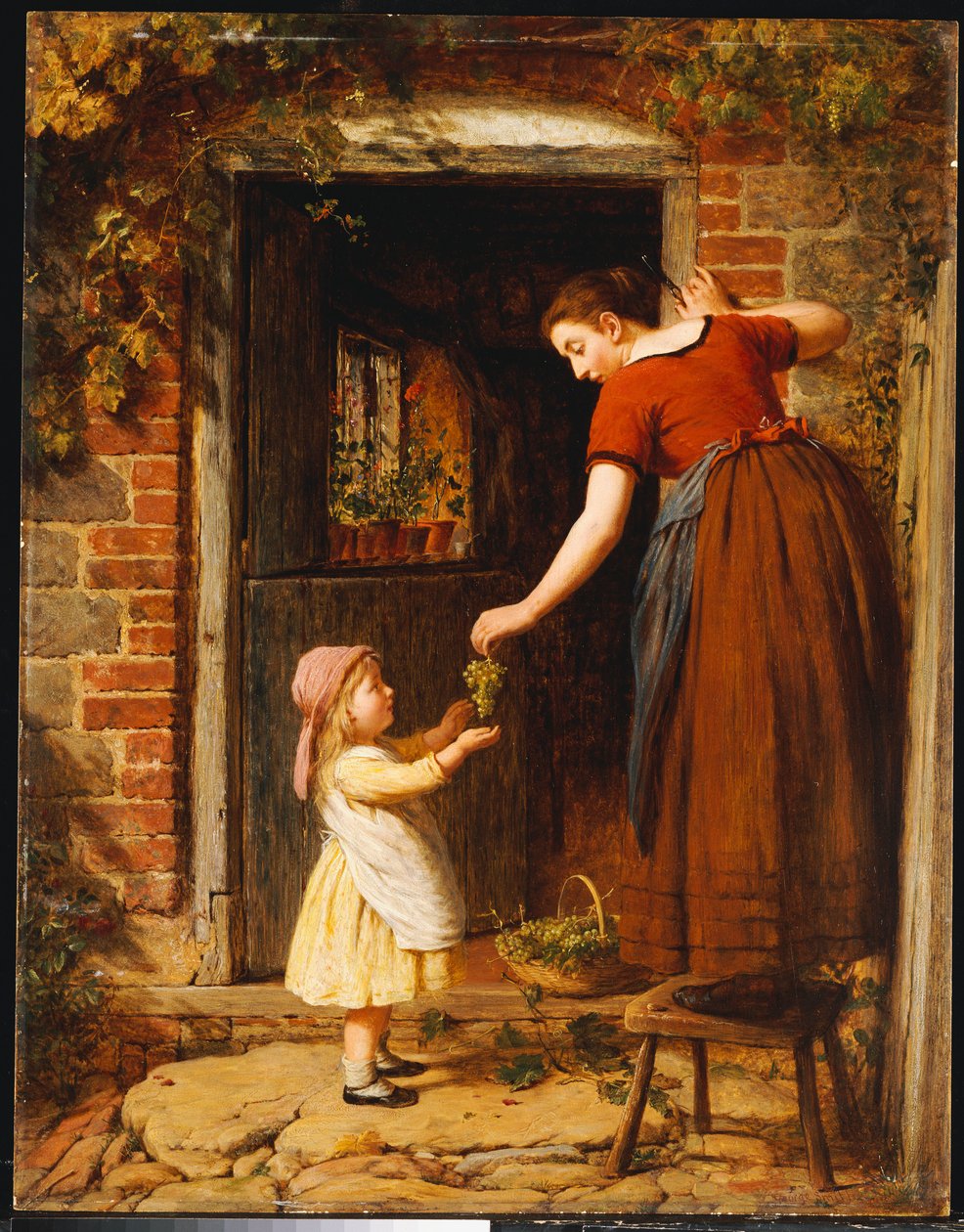 Raccolta dell