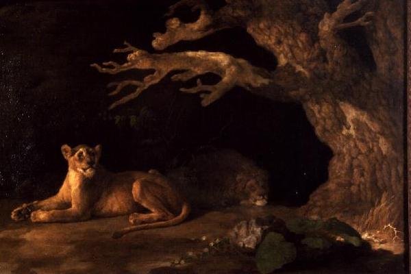Un leone e una leonessa da George Stubbs