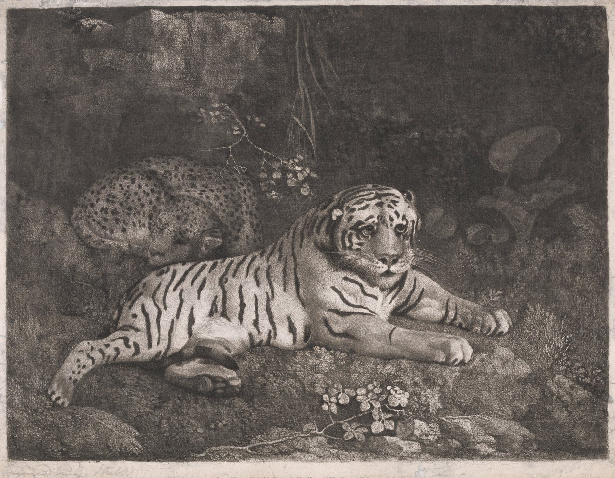 Una tigre e un leopardo addormentato da George Stubbs