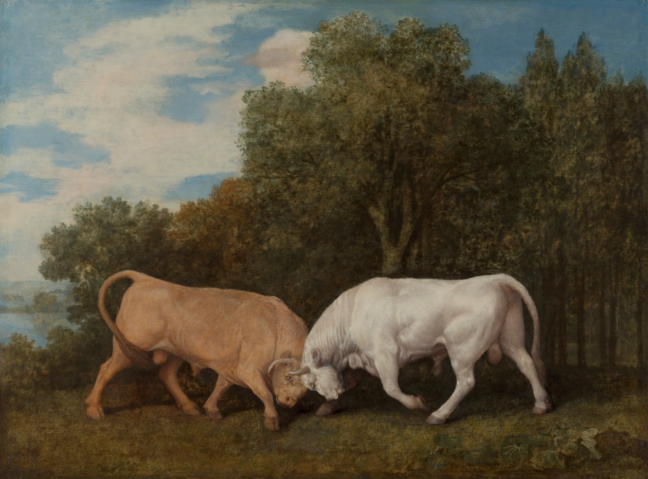 Tori che Combattono da George Stubbs