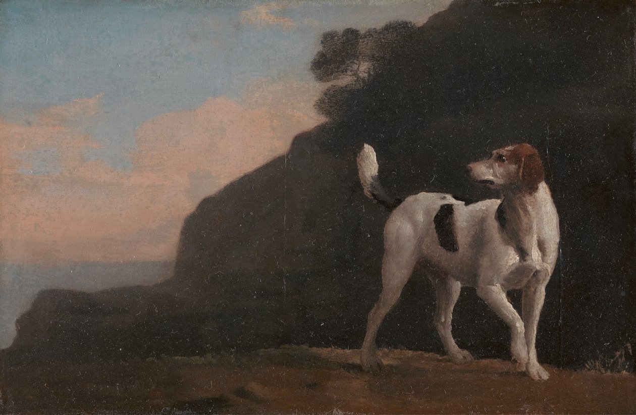 Segugio da George Stubbs