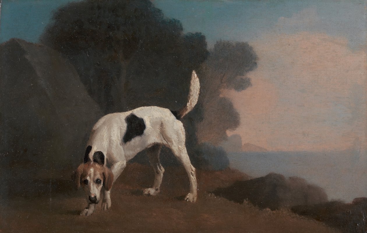 Foxhound, Foxhound sulla pista, ca. 1760 da George Stubbs