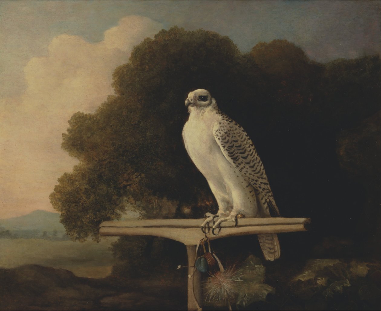 Falco della Groenlandia da George Stubbs