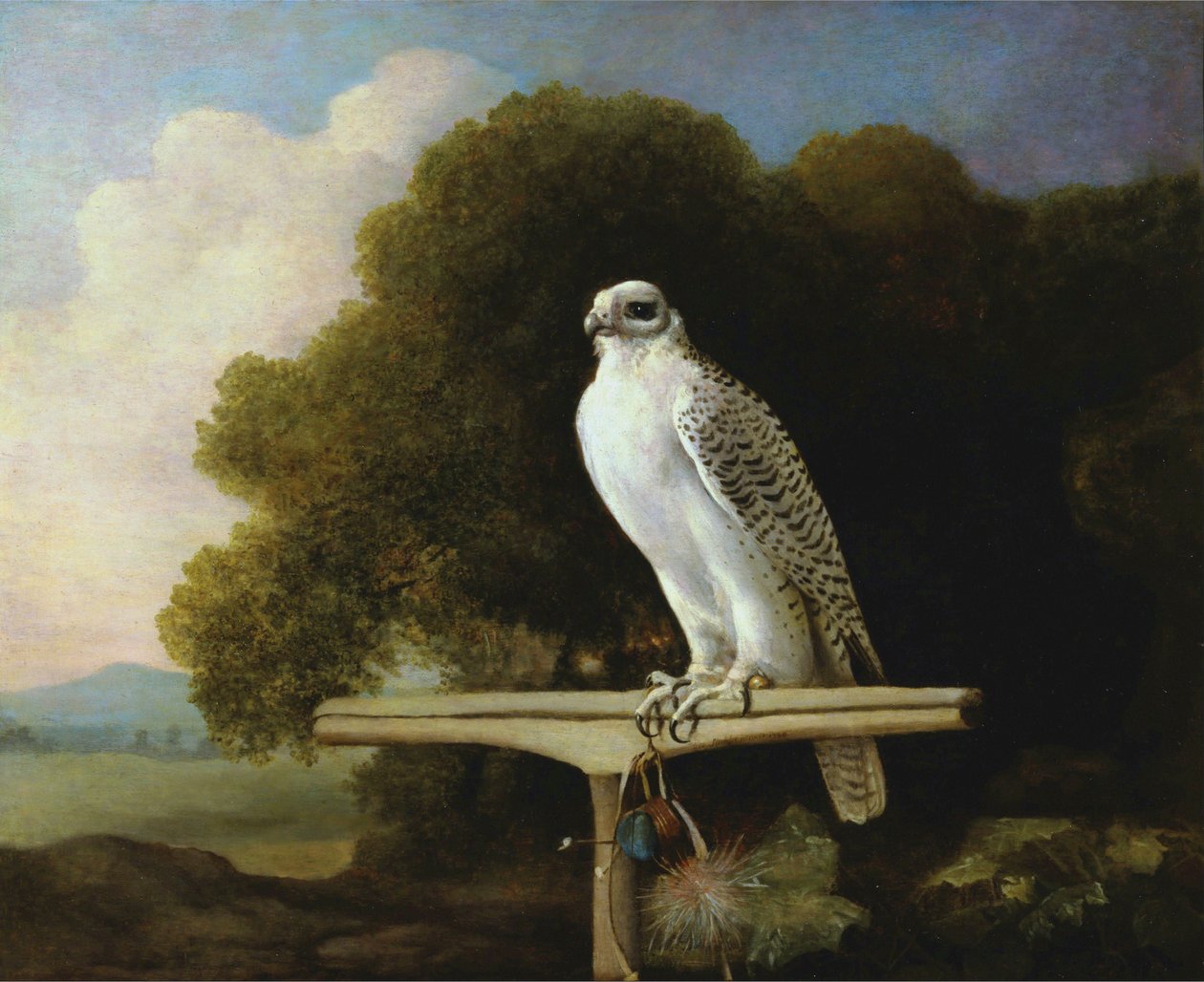 Falco della Groenlandia da George Stubbs