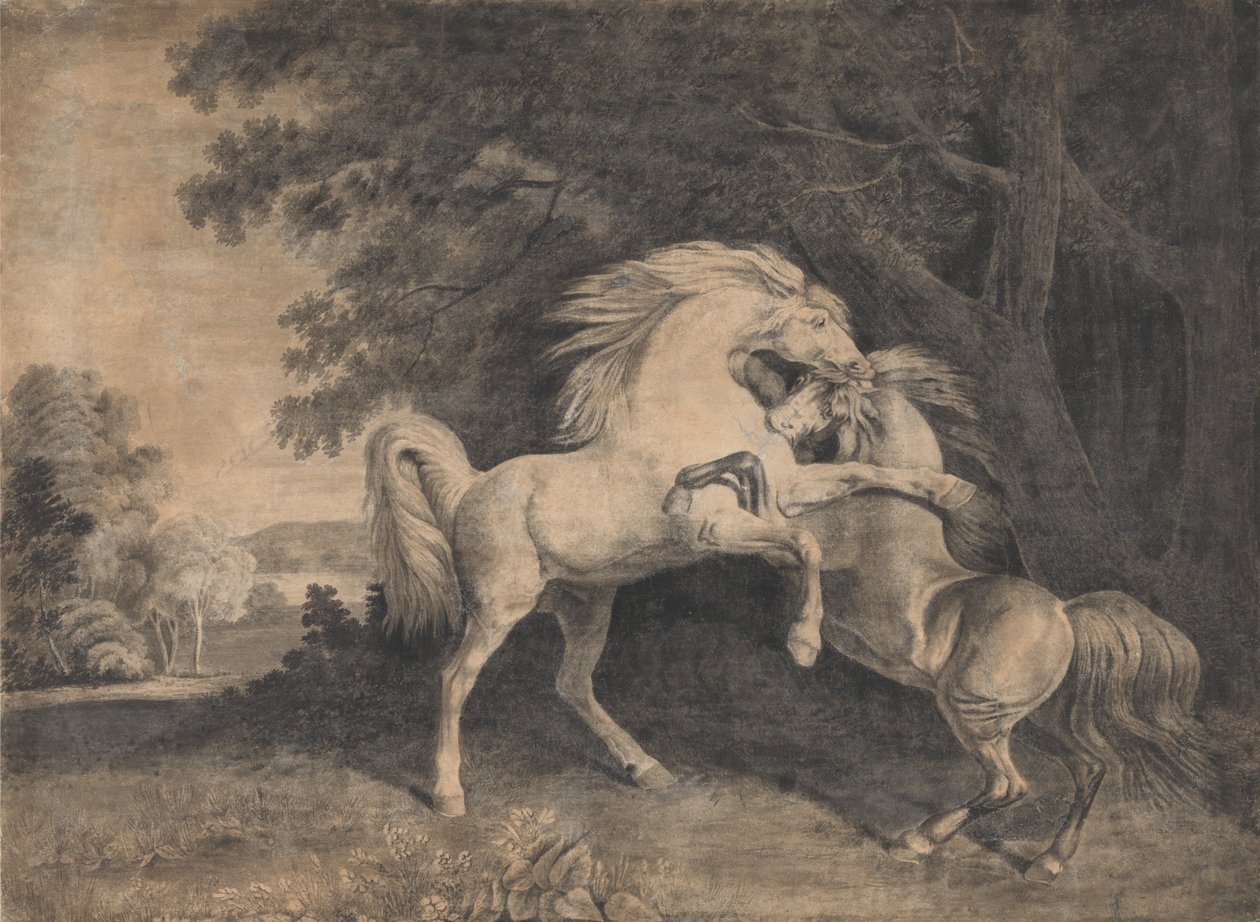 Cavalli che combattono da George Stubbs