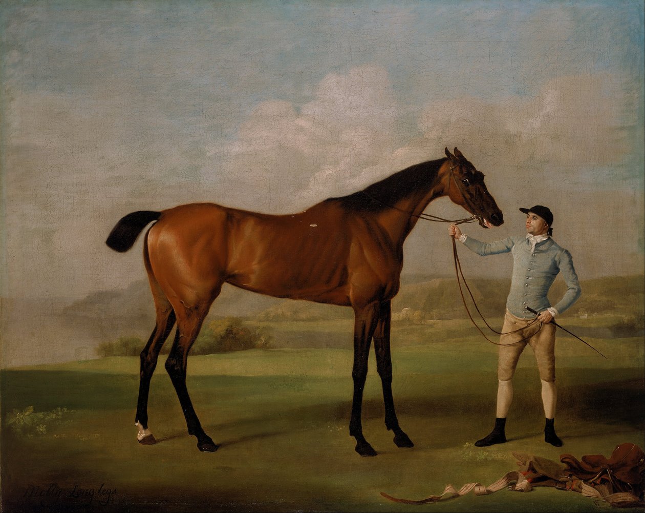 Molly Gambe Lunghe con il suo fantino da George Stubbs