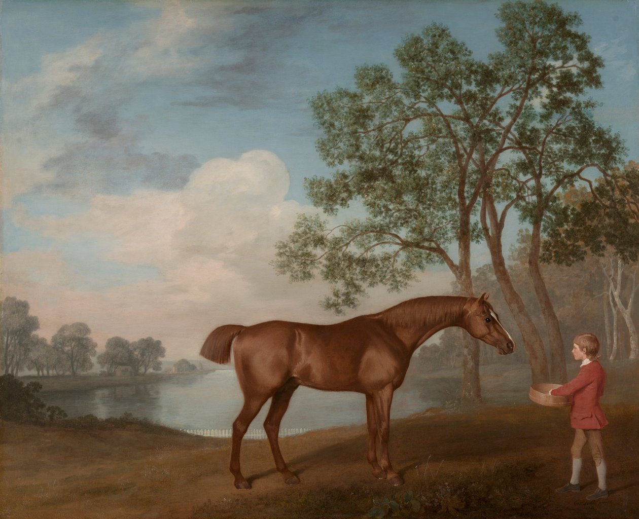 Zucca con un ragazzo di scuderia da George Stubbs