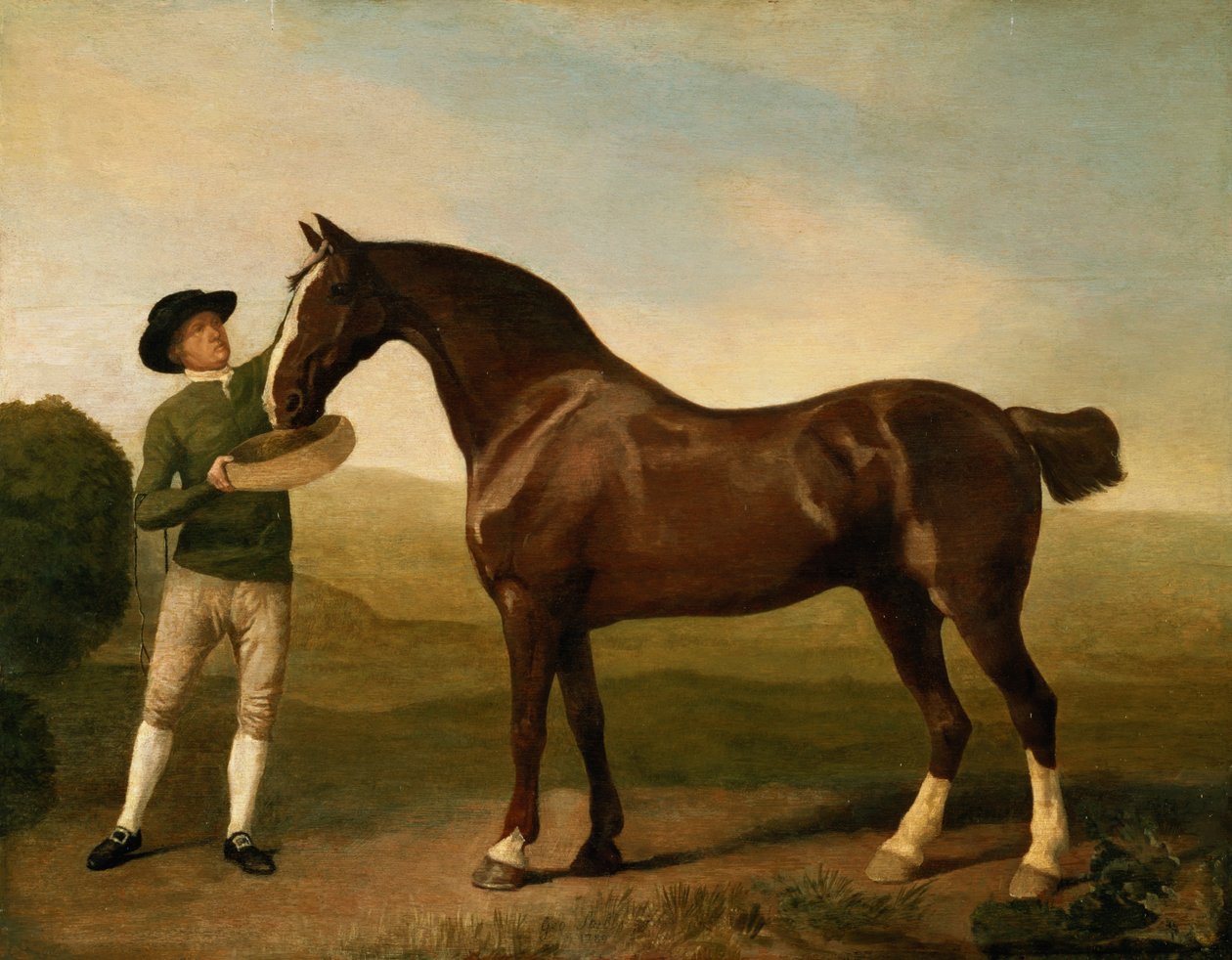 Immagine sconosciuta da George Stubbs
