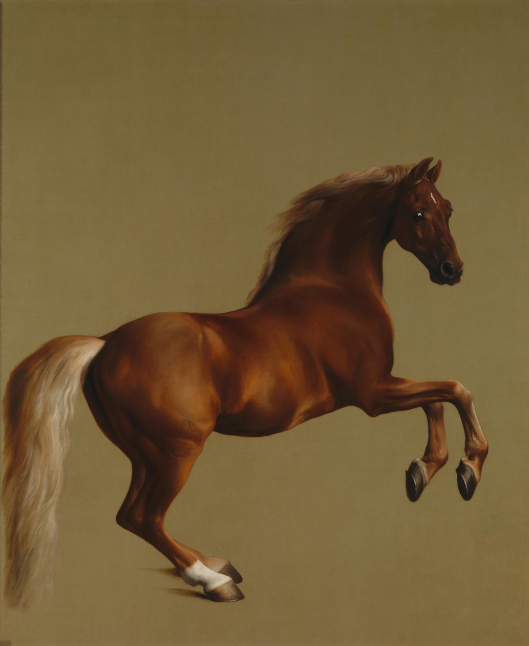 Whistlejacket da George Stubbs