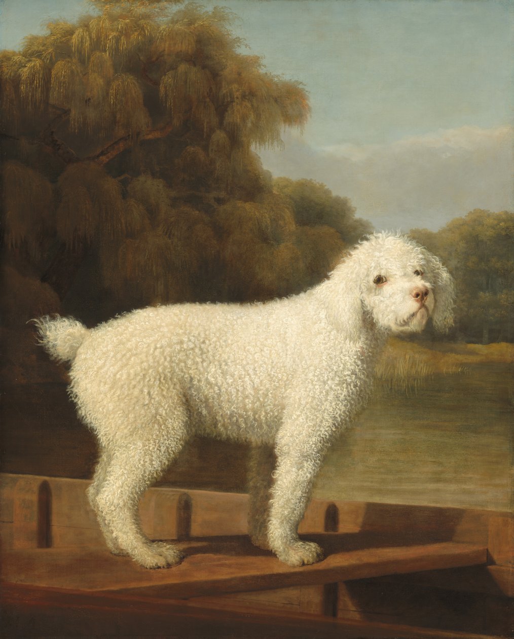 Barboncino bianco in una barca da George Stubbs