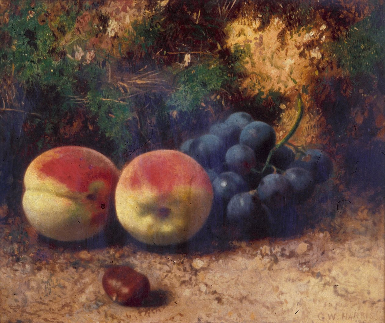 Pesche e uva da George Walter Harris