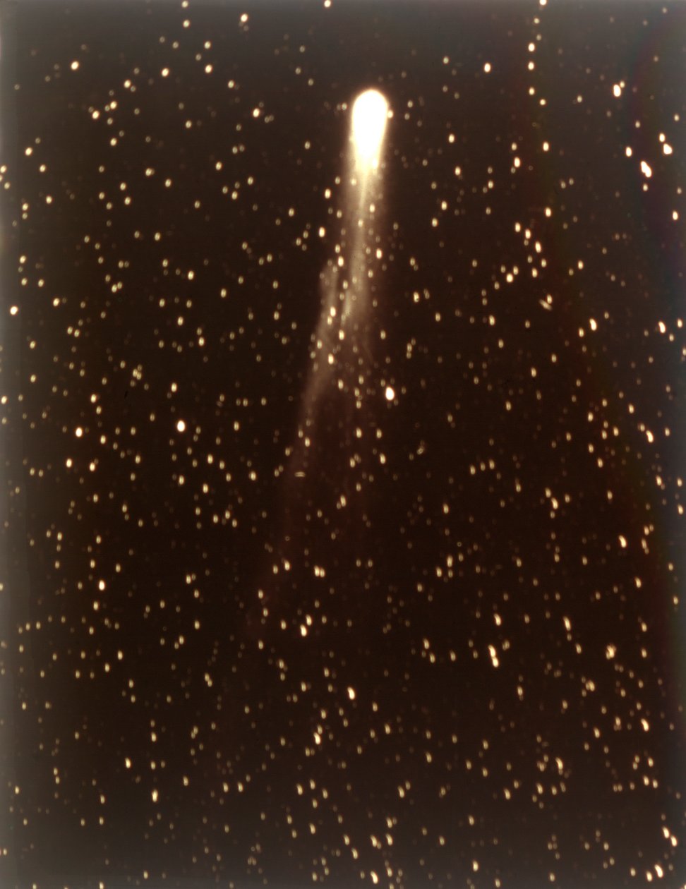Cometa di Halley da George Willis Ritchey