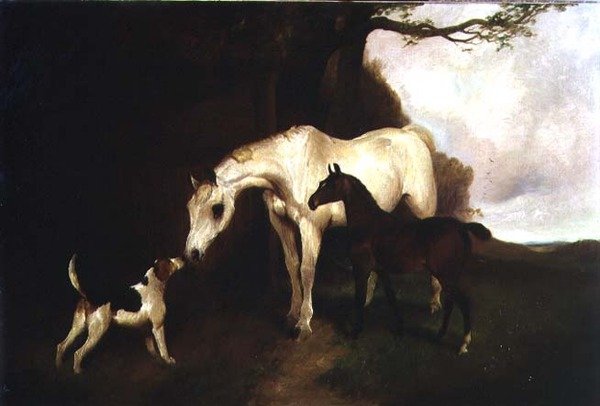 Amici fedeli da George Wright