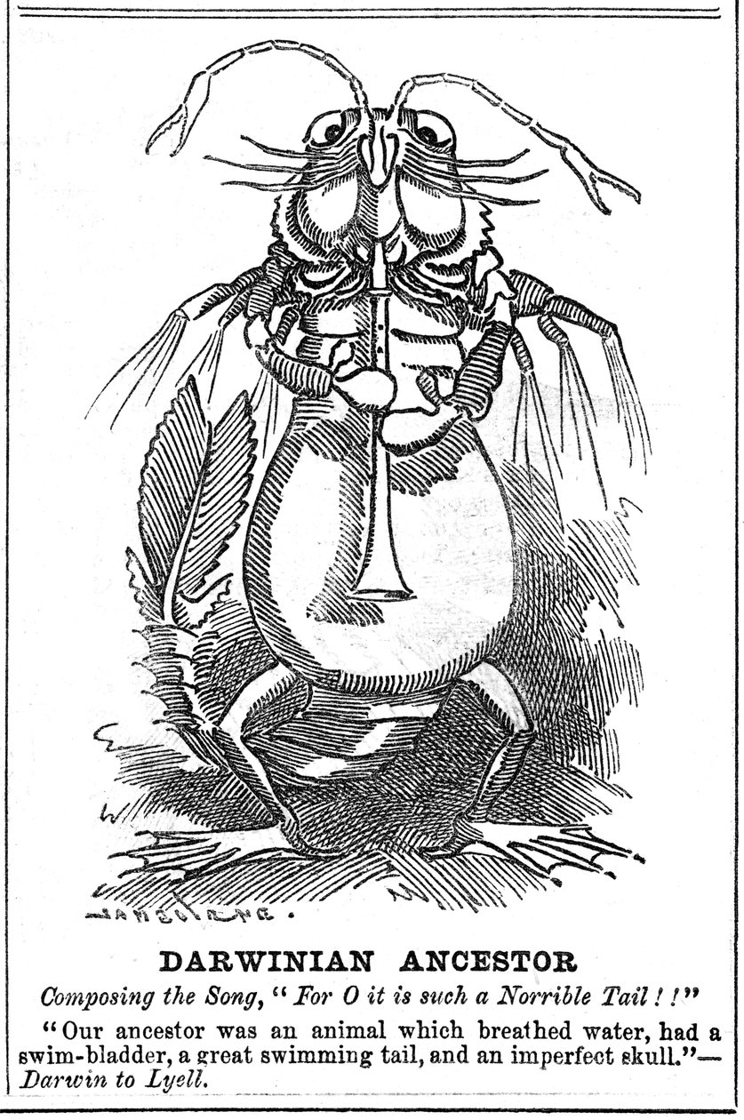 Antenato darwiniano da George du Maurier