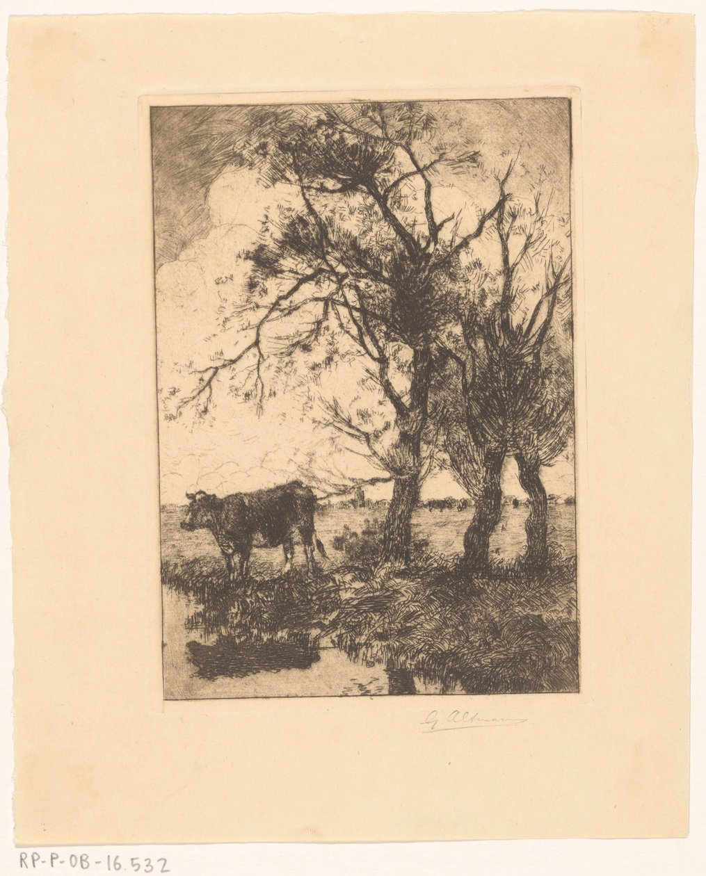 Mucca sulla riva da Gerard Altmann (signed by artist)