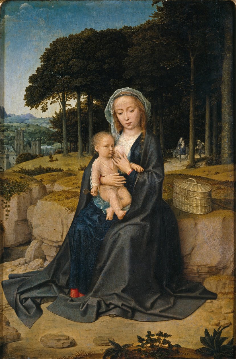 Riposo durante il volo verso l