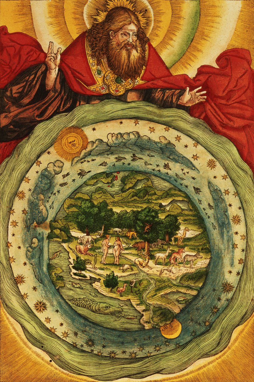 La Creazione, dalla Bibbia di Lutero, c.1530 da German School