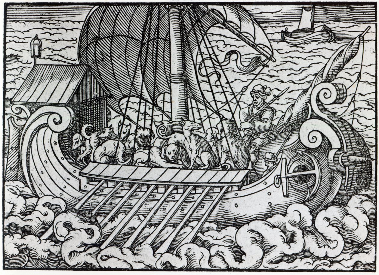 Nave Vichinga da German School