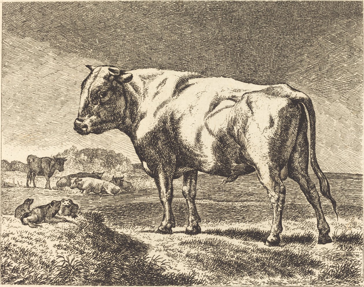 Mucca da German 19th Century