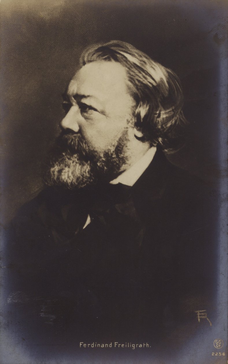 Ferdinand Freiligrath (1810-1876), poeta tedesco (foto b/n) da German Photographer