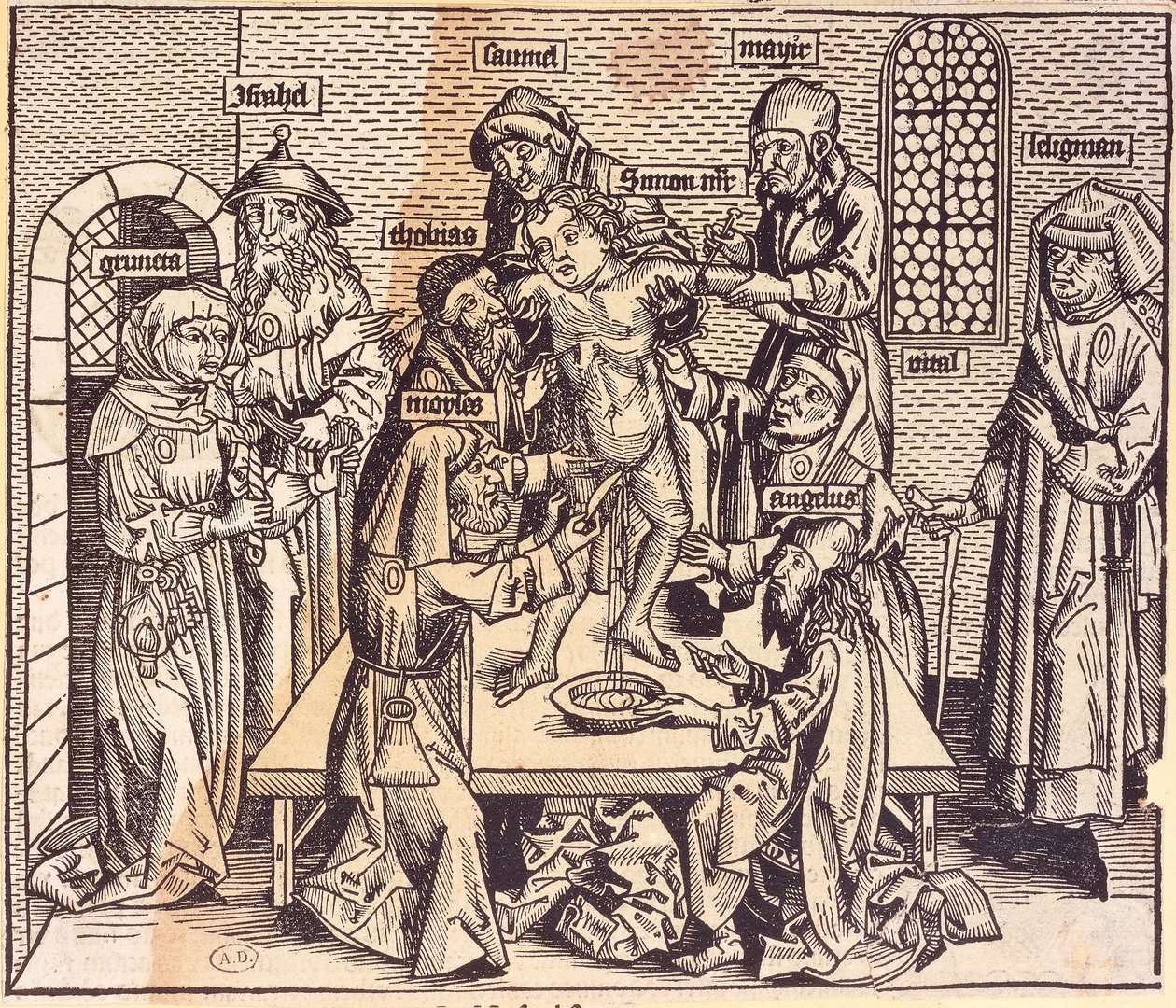 Lezione di anatomia (incisione) da German School