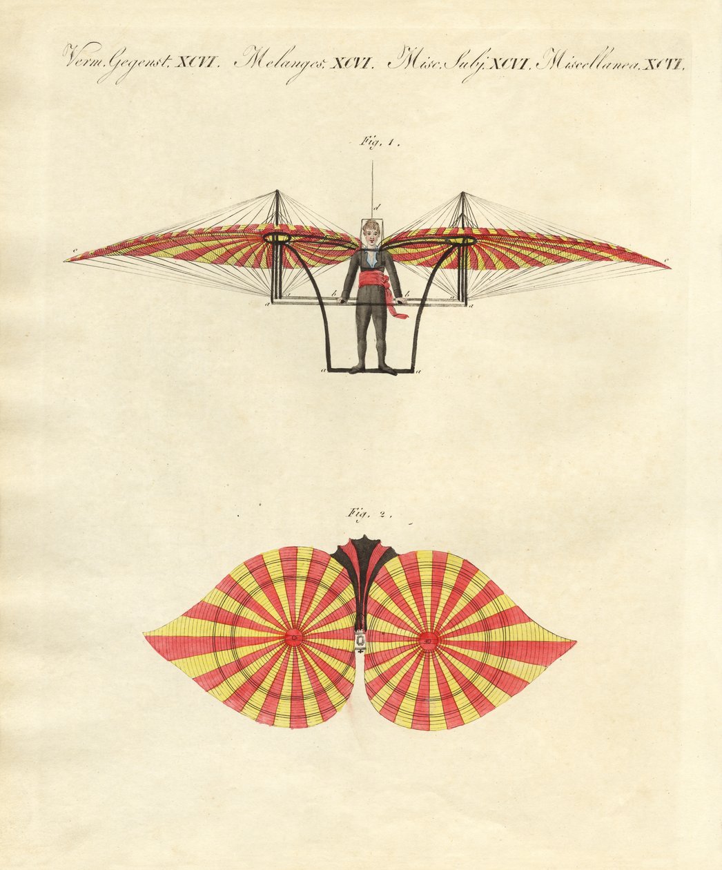 Macchina volante di Degen (incisione colorata) da German School