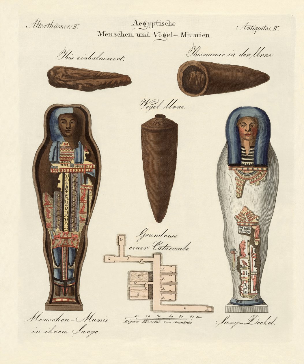 Mummie egiziane da German School