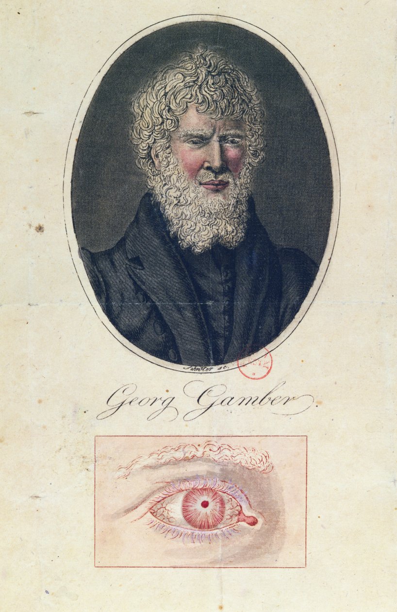 Georg Gamber, un albino da German School
