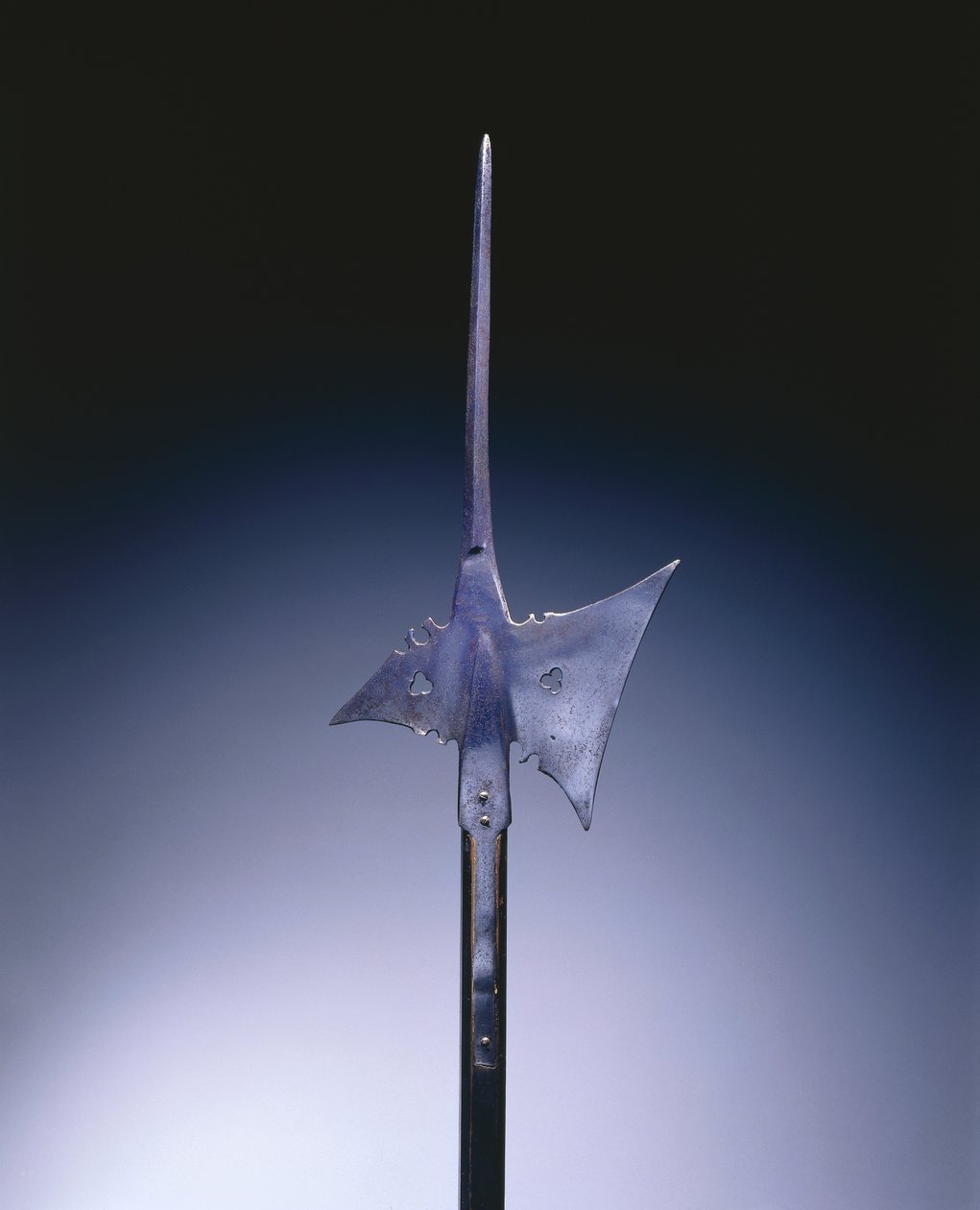Alabarda, c.1550 da German School