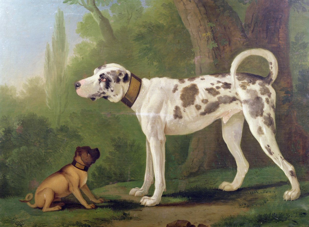 Segugio e terrier da German School