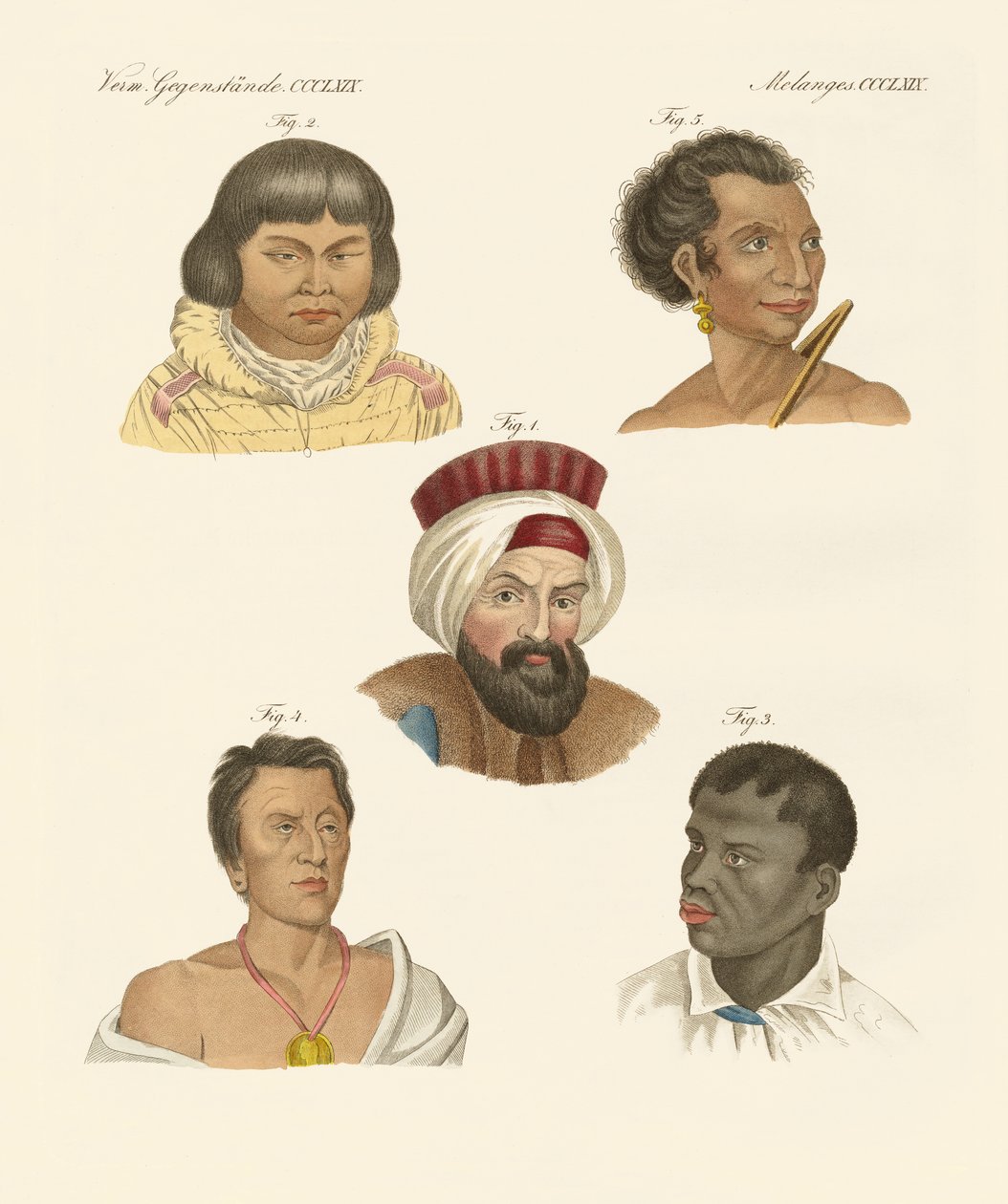 Illustrazione delle principali razze umane da German School