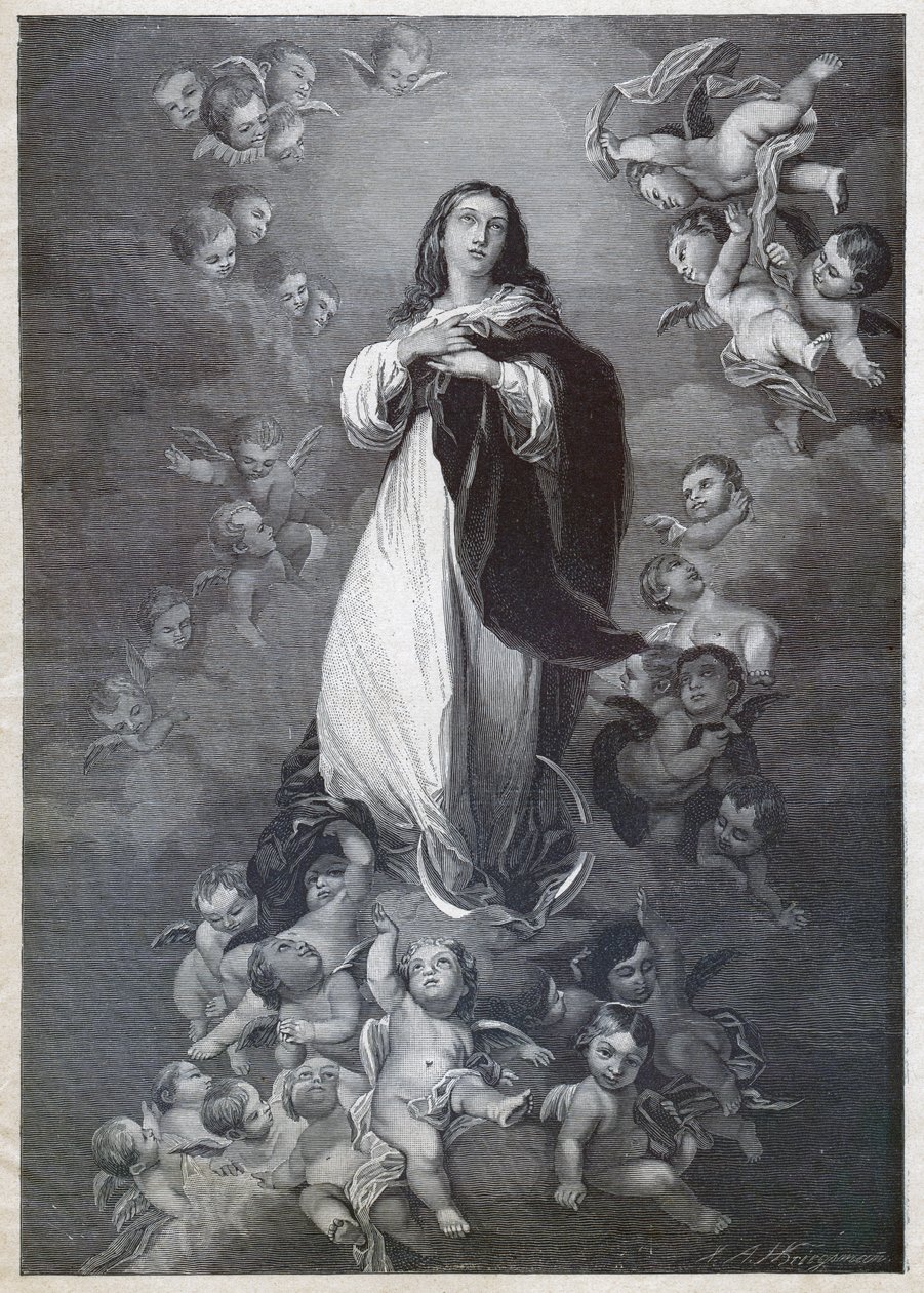 Immacolata Concezione (incisione) da German School