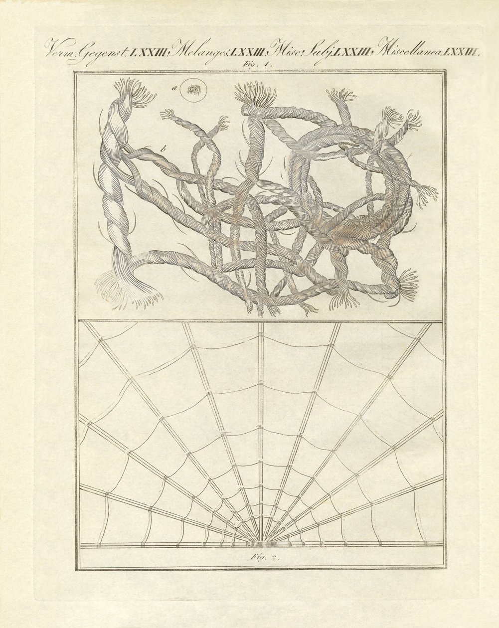 Oggetti microscopici da German School