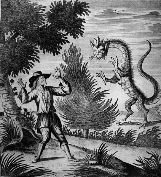 Drago di montagna, c.1660 da German School