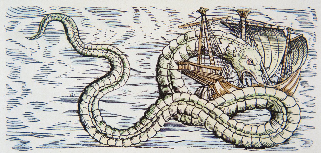 Serpente marino attacca una nave da German School