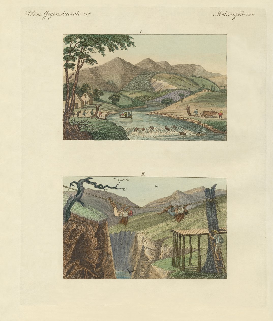 Ponti di corda sudamericani da German School