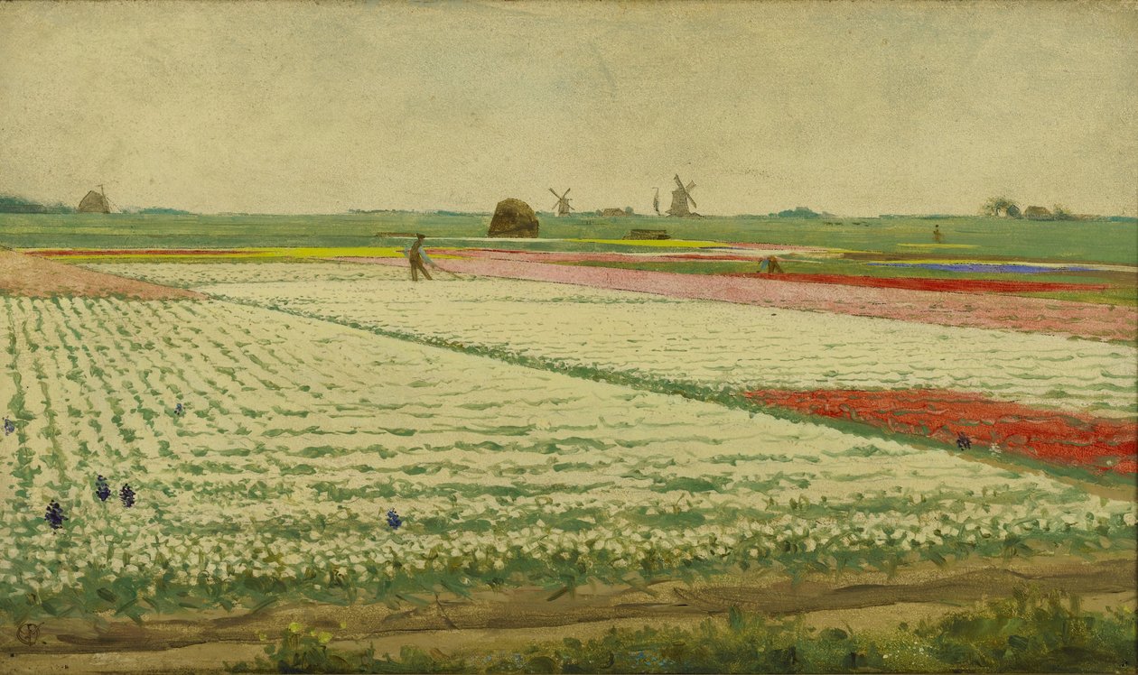 Campi di Tulipani da Gerrit Willem Dijsselhof