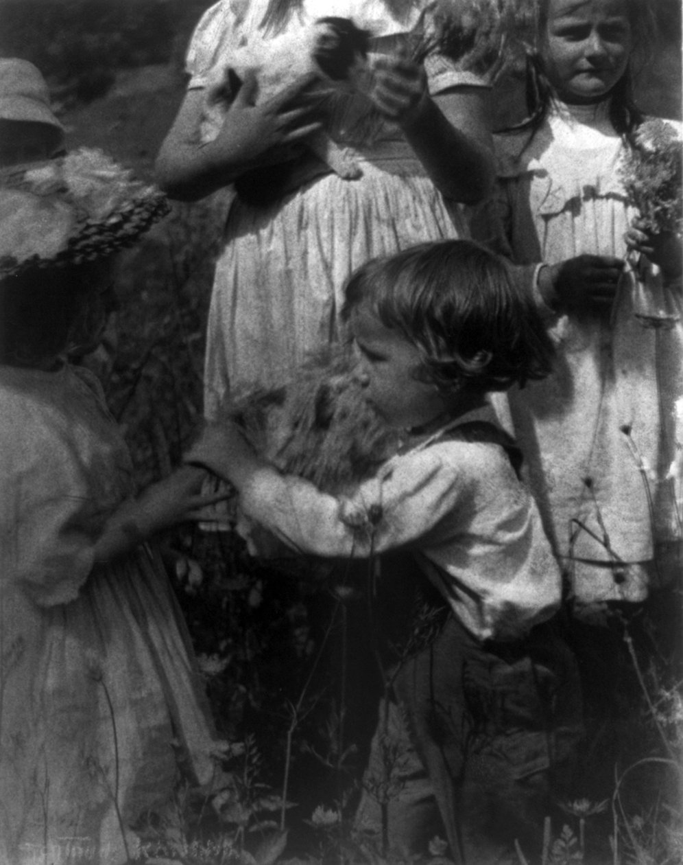 Giorni felici da Gertrude Käsebier