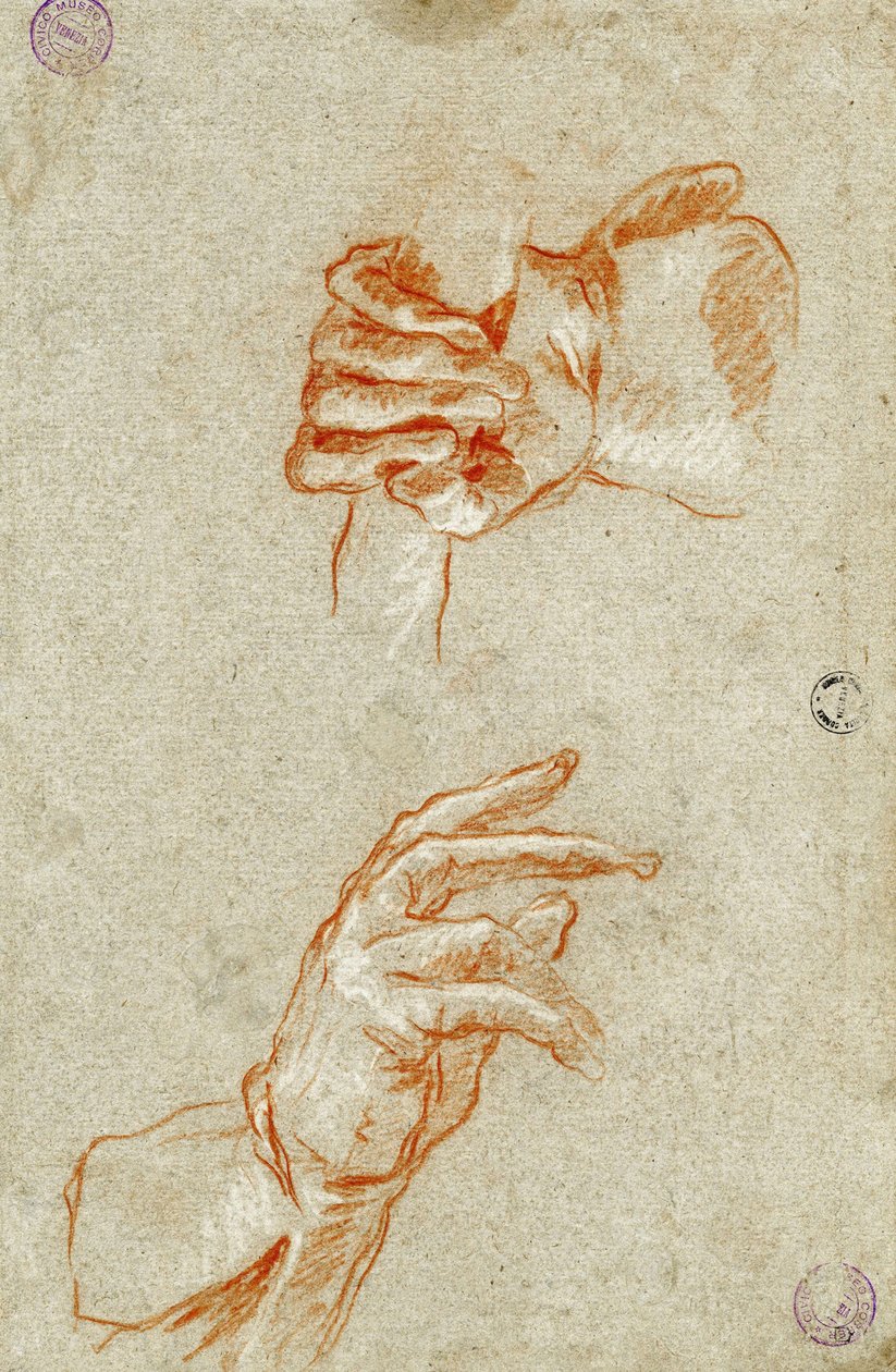 Studio di mani da Giambattista Tiepolo