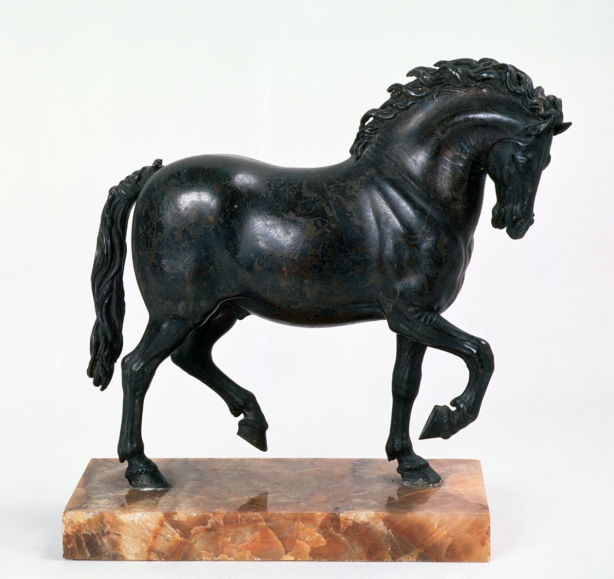 Cavallo al passo da Giambologna